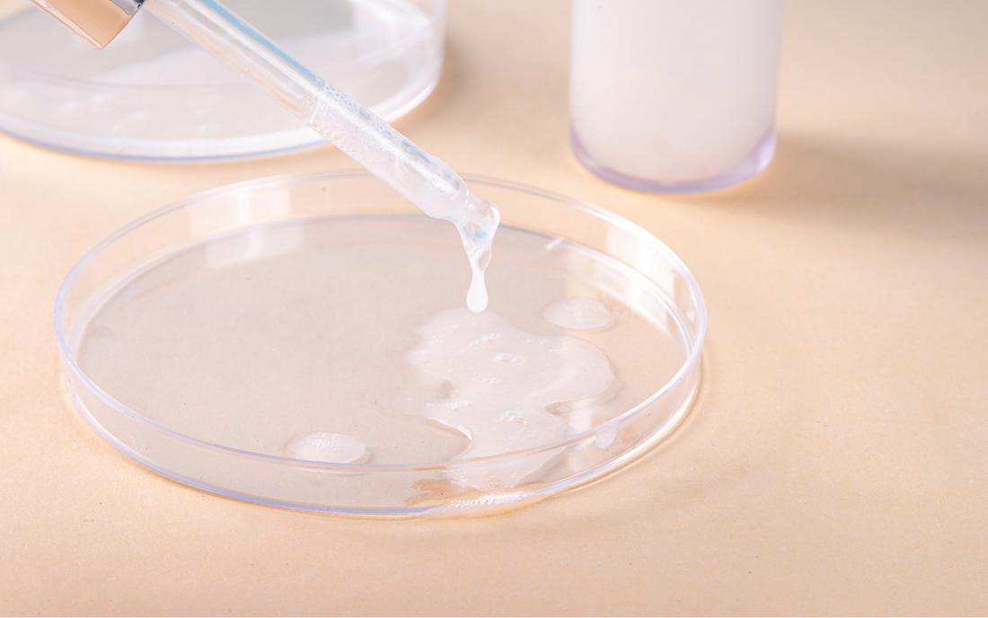panthenol vs ceramides in skin care