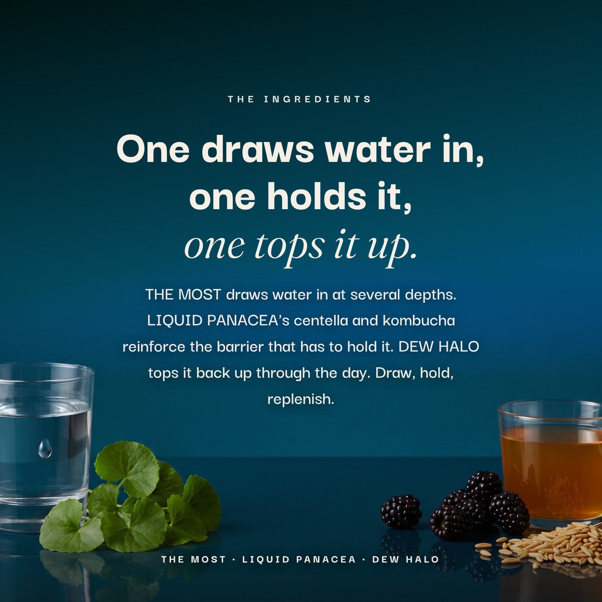 THE HYDRATION SET