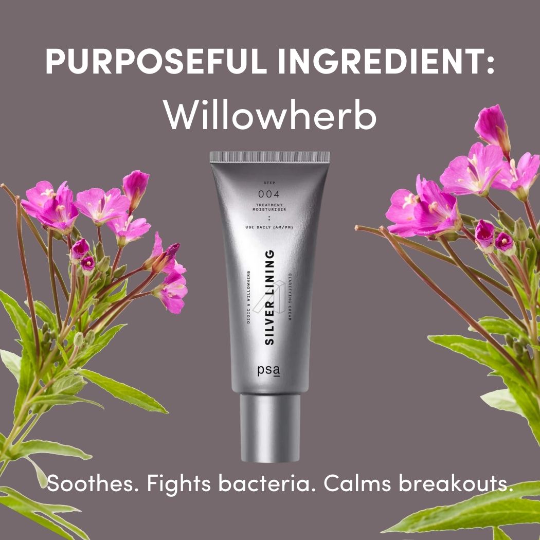 ボディ・フェイスケア SILVER REED SILVER LINING Dioic & Willowherb Clarifying Cream | PSA Skincare